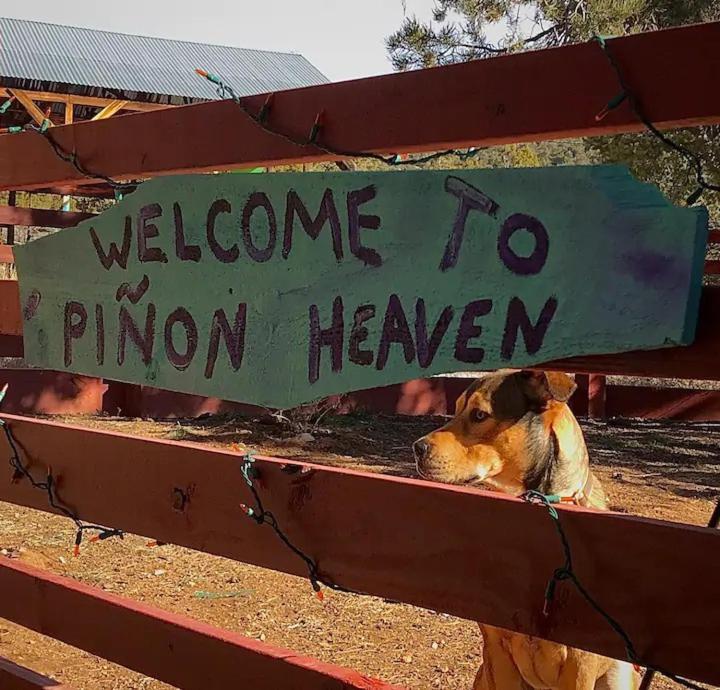 Pet Friendly Pinon Heaven Panzió Canada de los Alamos Kültér fotó